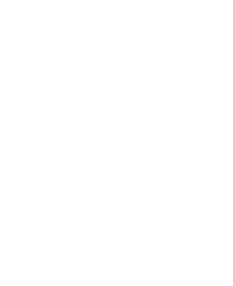 選